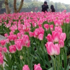 小米2012 小米2012