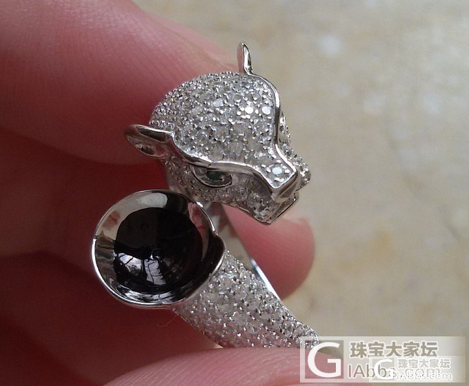 925银镀白金卡地亚款豹子头戒指托蓝珀 珍珠专用DIY 打酱油必备 活口圈精工货!_银